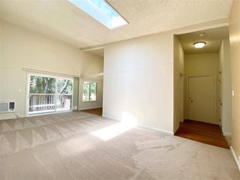 Skylight